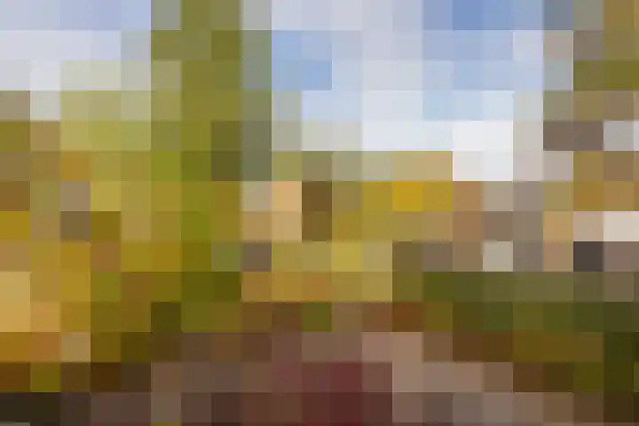 Scheltemalaan 36 Amersfoort thumbnail 12