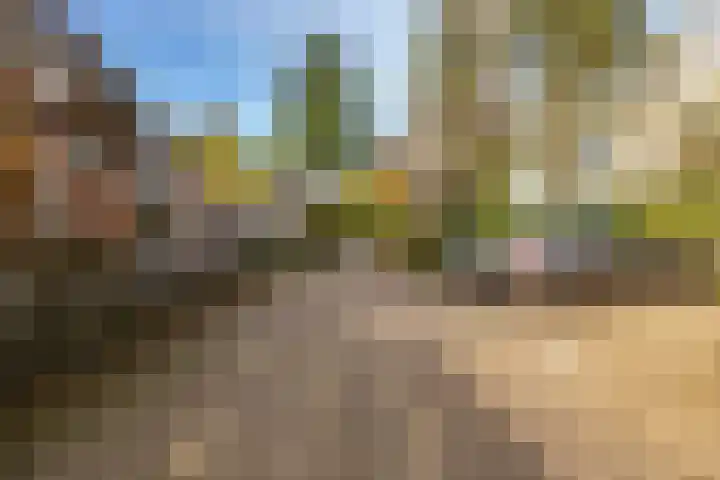 Scheltemalaan 36 Amersfoort thumbnail 31