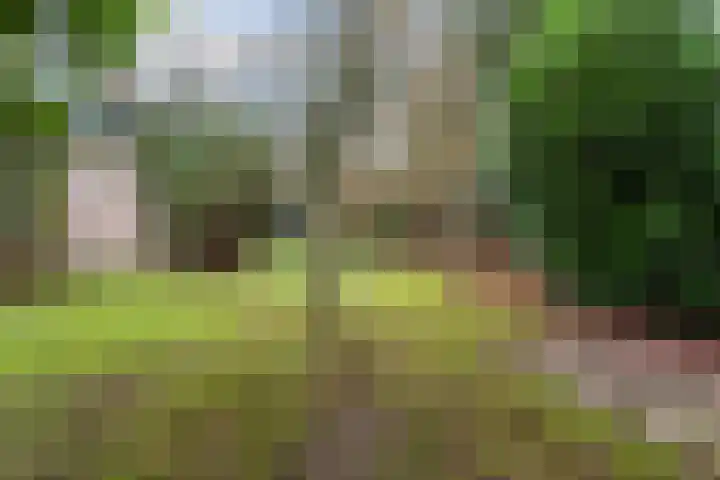 Scheltemalaan 37 Amersfoort thumbnail 28