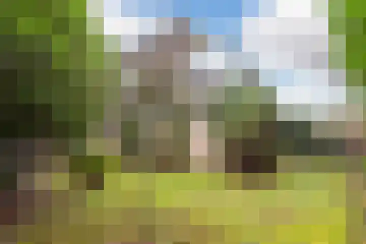 Scheltemalaan 37 Amersfoort thumbnail 29