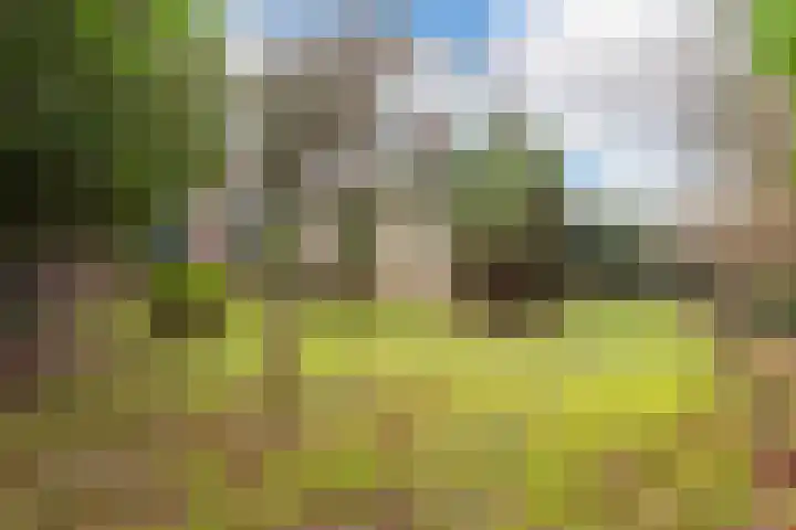 Scheltemalaan 37 Amersfoort thumbnail 30