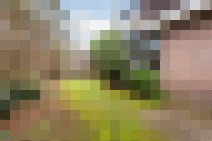 Scheltemalaan 37 Amersfoort thumbnail 33
