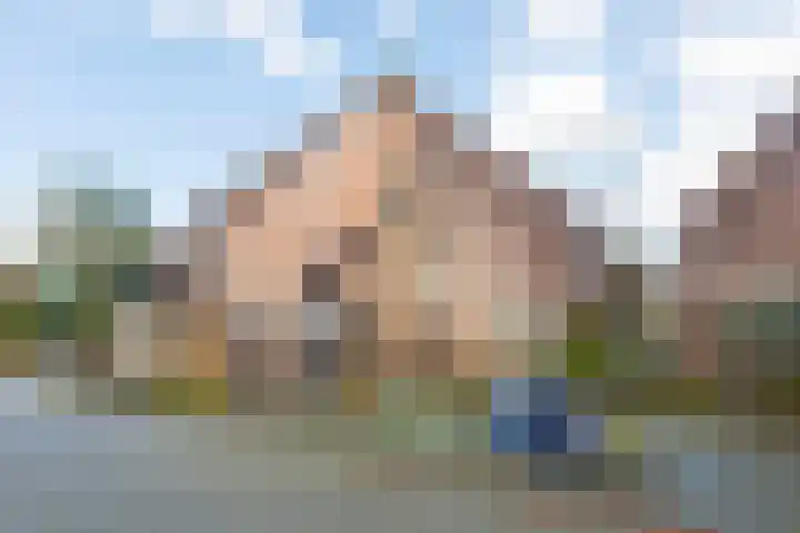 Scheltemalaan 37 Amersfoort thumbnail 35