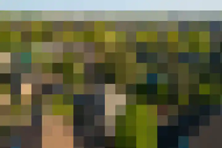 Scheltemalaan 48 Amersfoort thumbnail 21