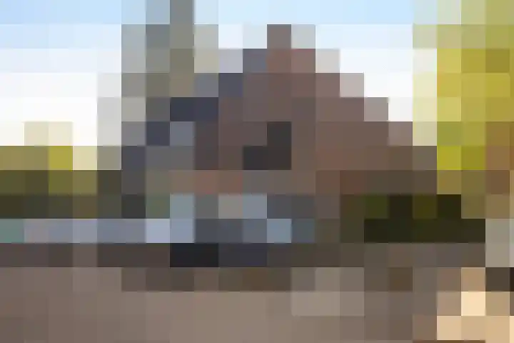 Scheltemalaan 48 Amersfoort thumbnail 22