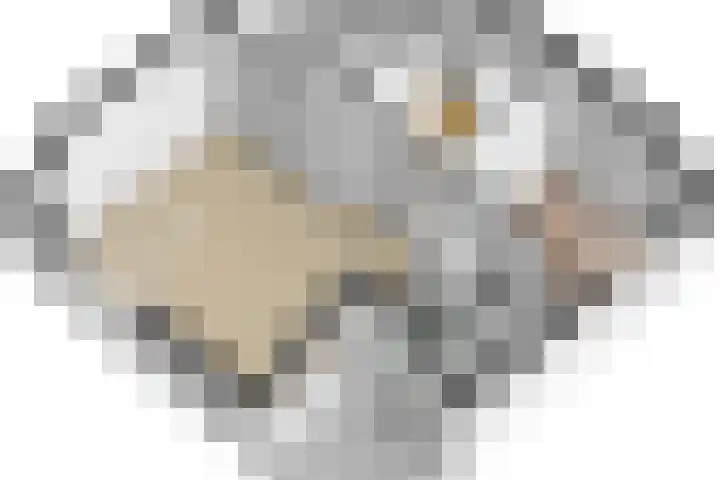 Scheltemalaan 48 Amersfoort thumbnail 27