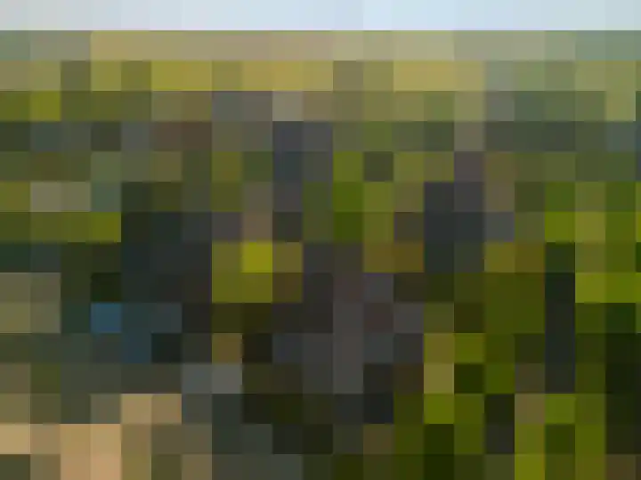 Scheltemalaan 48 Amersfoort thumbnail 34