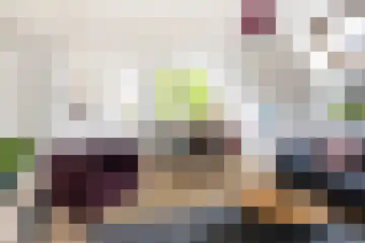 Scheltemalaan 48 Amersfoort thumbnail 7