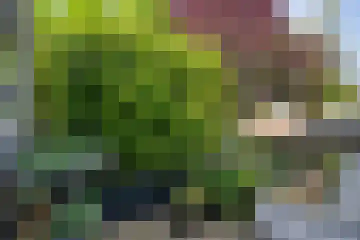 Scheltemalaan 79 Amersfoort thumbnail 5