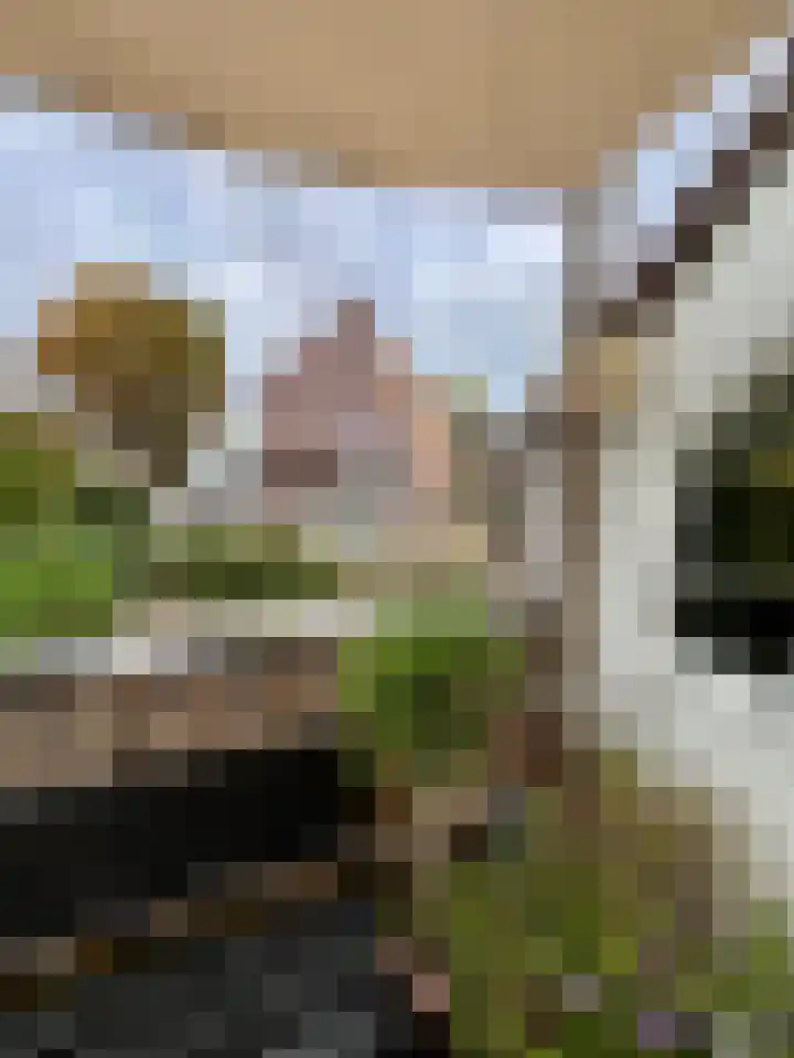 Scheltemalaan 8 Amersfoort thumbnail 17