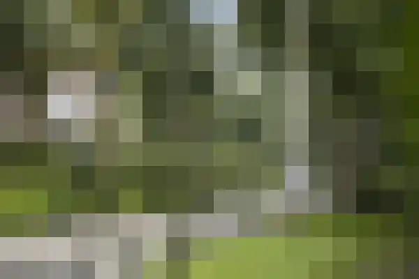 Scheltemalaan 8 Amersfoort thumbnail 18