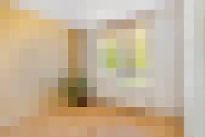 Scheltemastate 48 Leeuwarden thumbnail 33