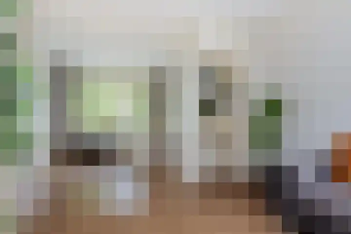 Scheltemaweg 10 Eindhoven thumbnail 14