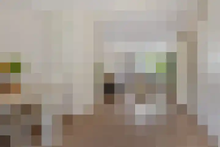 Scheltemaweg 10 Eindhoven thumbnail 16