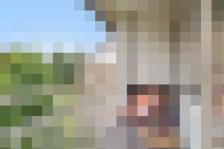 Scheltemaweg 10 Eindhoven thumbnail 20
