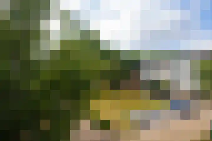 Scheltemaweg 10 Eindhoven thumbnail 21
