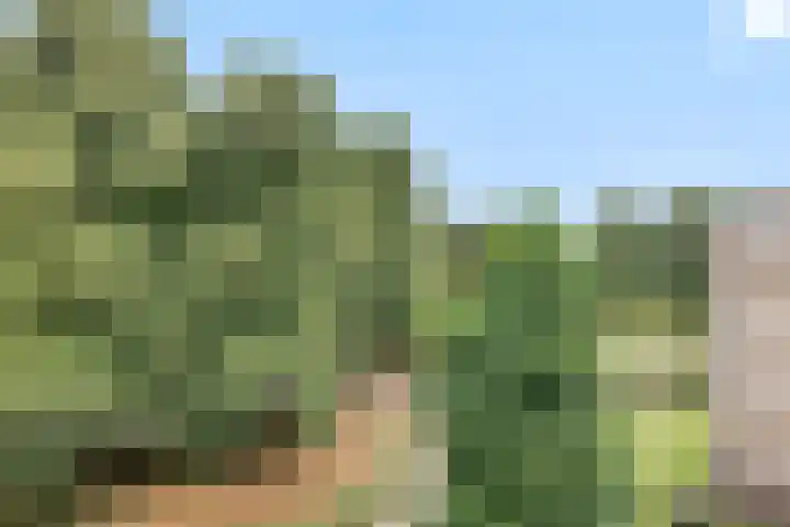Scheltemaweg 10 Eindhoven thumbnail 30