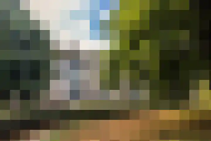 Scheltemaweg 10 Eindhoven thumbnail 32