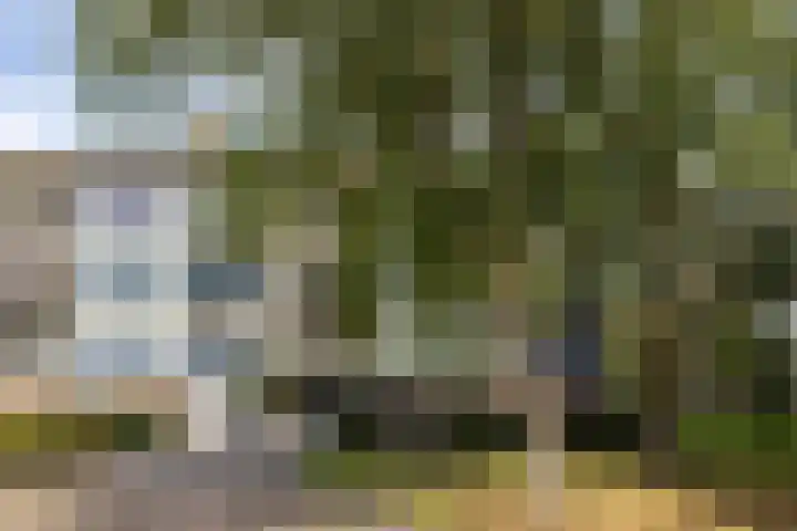 Scheltemaweg 10 Eindhoven thumbnail 33