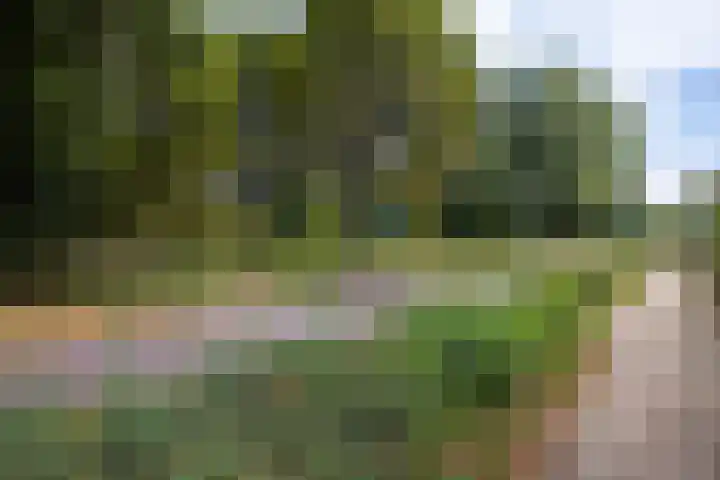 Scheltemaweg 10 Eindhoven thumbnail 34