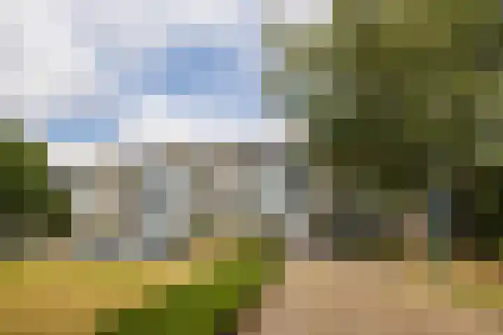 Scheltemaweg 10 Eindhoven thumbnail 5