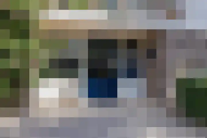 Scheltemaweg 10 Eindhoven thumbnail 6