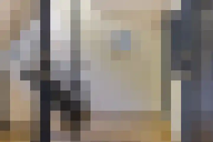 Scheltemaweg 10 Eindhoven thumbnail 8