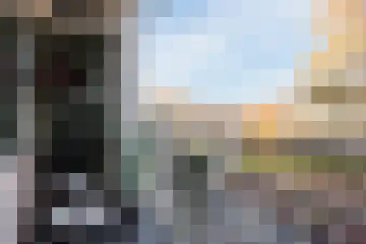Scheltemaweg 66 Eindhoven thumbnail 11