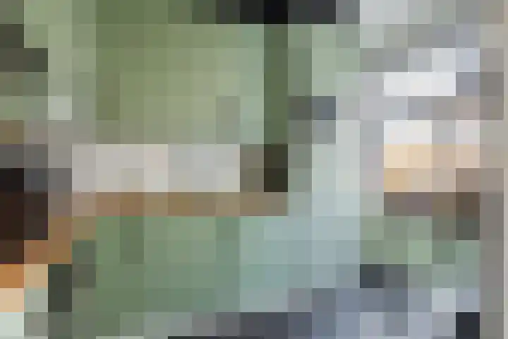 Scheltemaweg 66 Eindhoven thumbnail 13