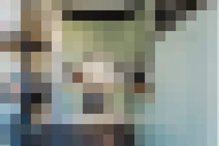 Scheltemaweg 66 Eindhoven thumbnail 16