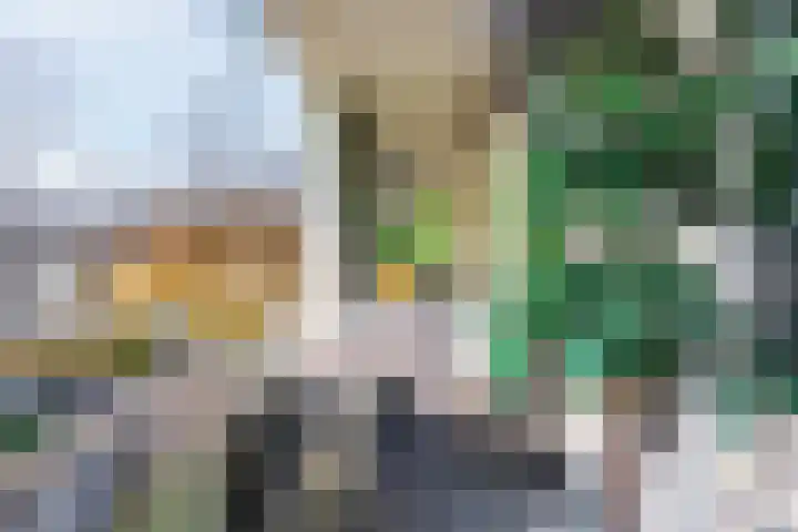 Scheltemaweg 66 Eindhoven thumbnail 20