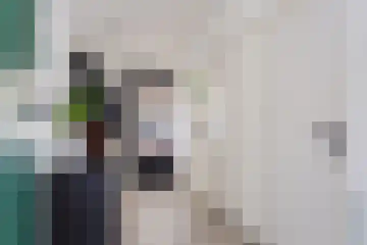 Scheltemaweg 66 Eindhoven thumbnail 30