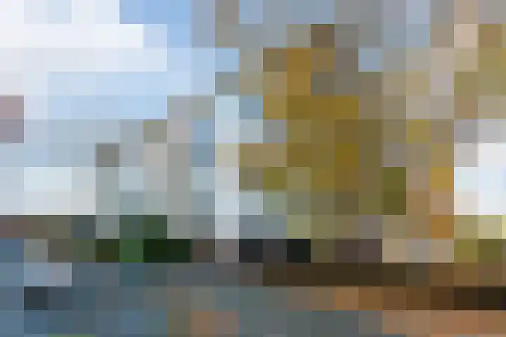 Scheltemaweg 66 Eindhoven thumbnail 32