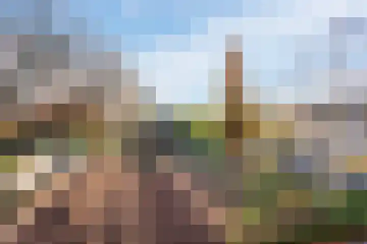 Scheltemaweg 66 Eindhoven thumbnail 33