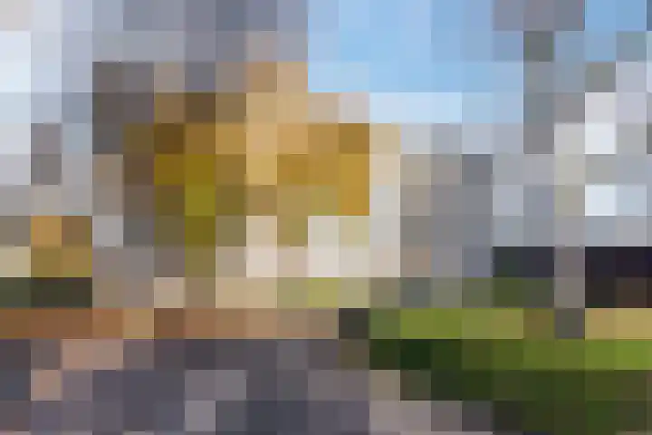 Scheltemaweg 66 Eindhoven thumbnail 34