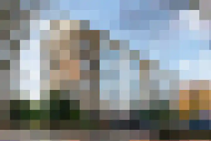 Scheltemaweg 66 Eindhoven thumbnail 36