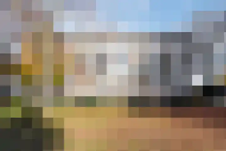 Scheltemaweg 66 Eindhoven thumbnail 39