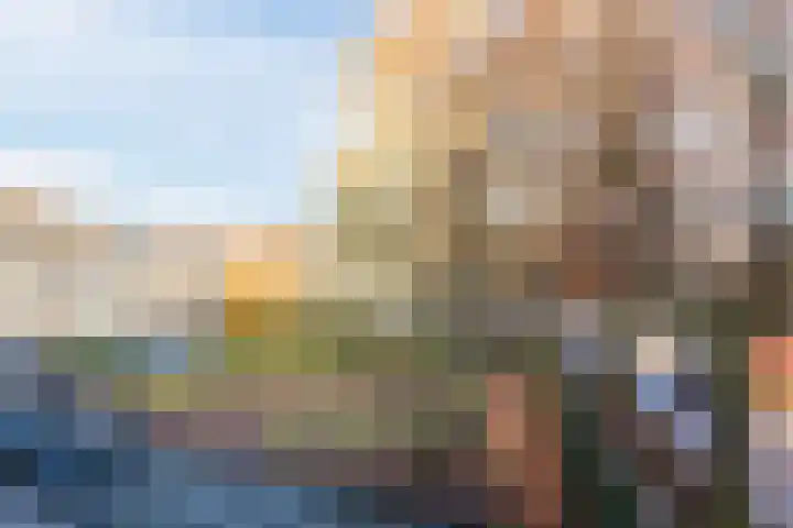Scheltemaweg 66 Eindhoven thumbnail 4