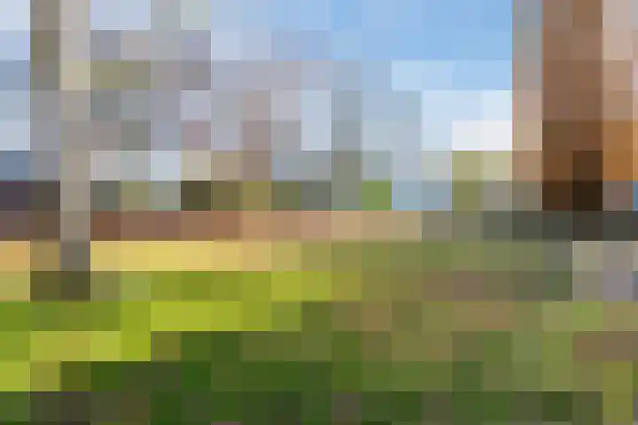 Scheltemaweg 66 Eindhoven thumbnail 41
