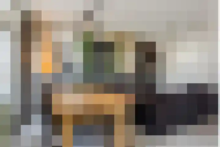 Scheltemaweg 66 Eindhoven thumbnail 5