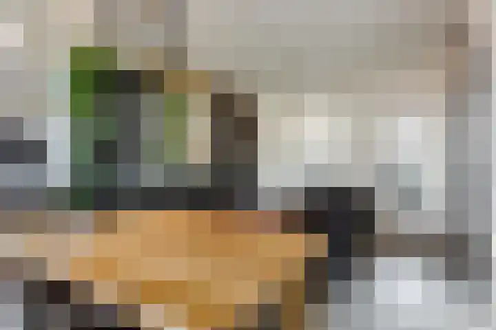 Scheltemaweg 66 Eindhoven thumbnail 8