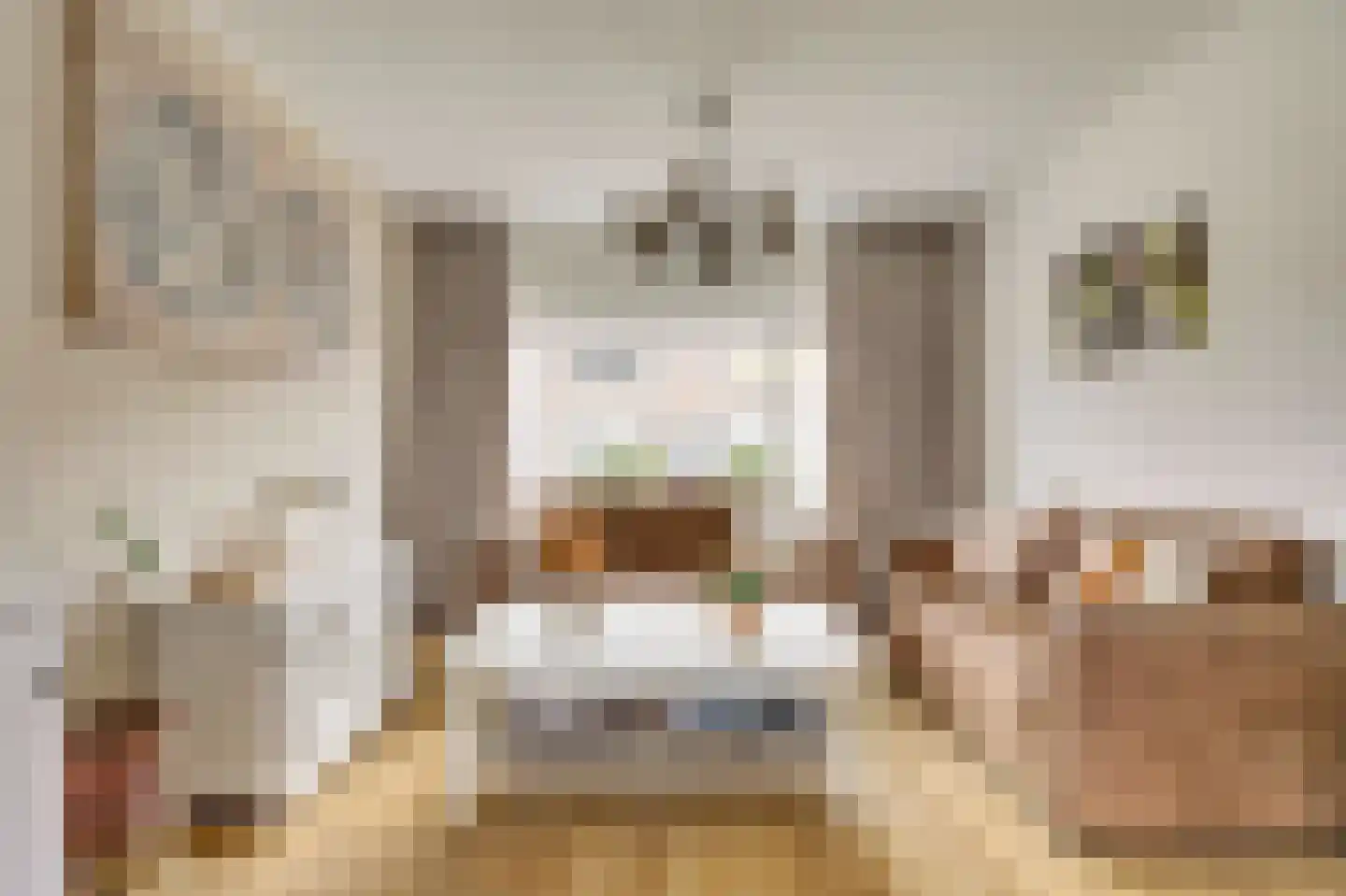 Scheltingastraat 27 Hendrik-Ido-Ambacht thumbnail 8