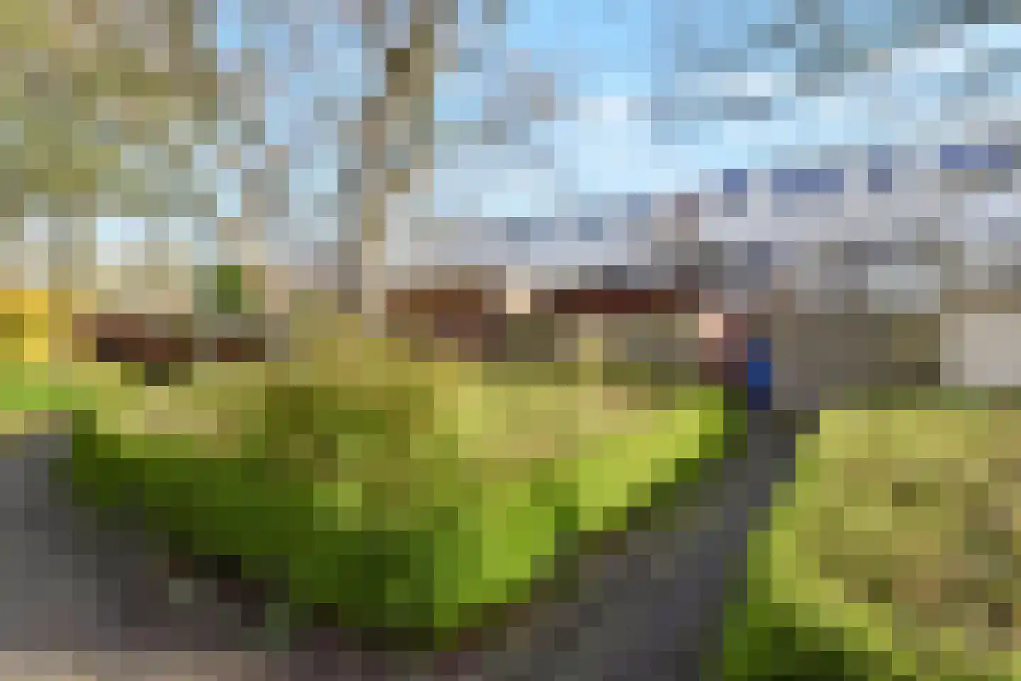 Scheltuslaan 59 Voorburg thumbnail 34