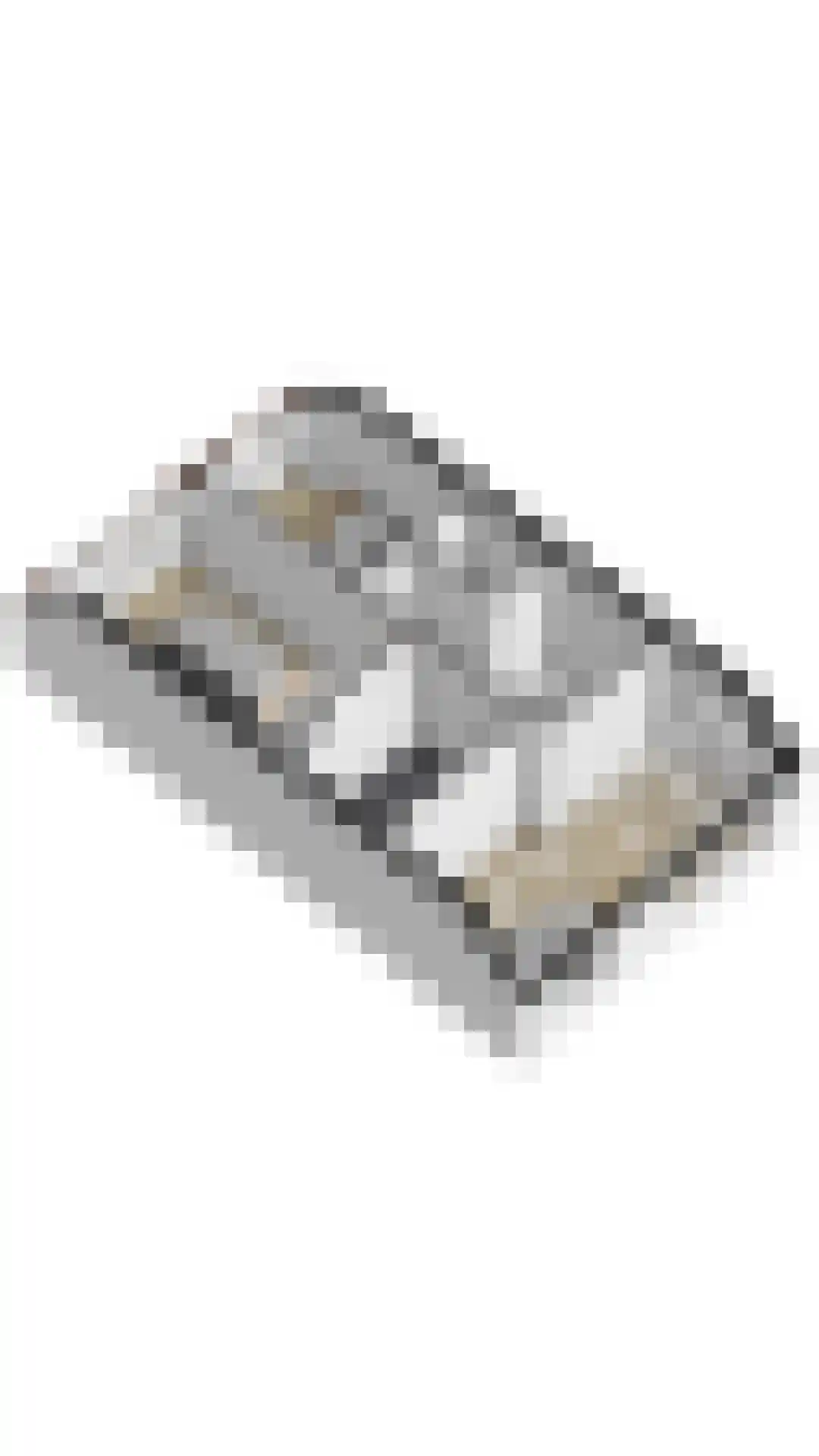 Scheltuslaan 59 Voorburg thumbnail 36