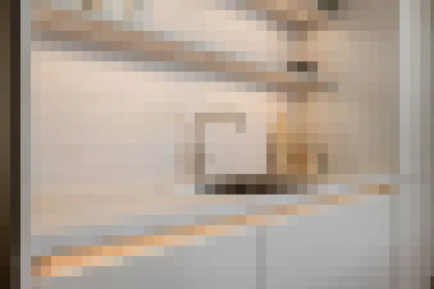 Schelvisstraat 24 Den Haag thumbnail 21