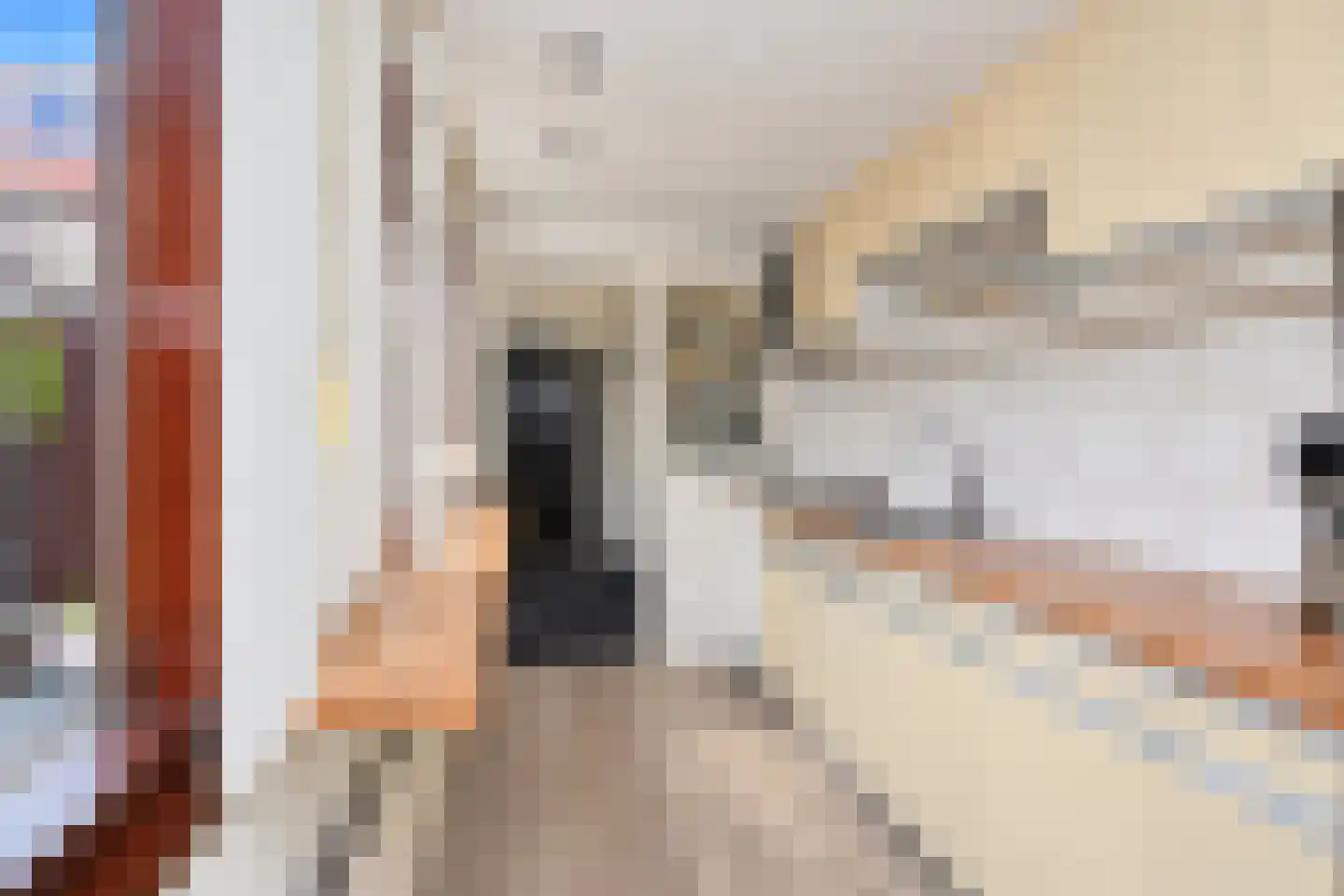 Schelvisstraat 3 Den Haag thumbnail 17