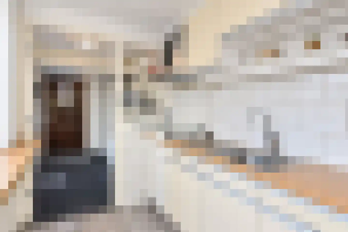 Schelvisstraat 3 Den Haag thumbnail 18