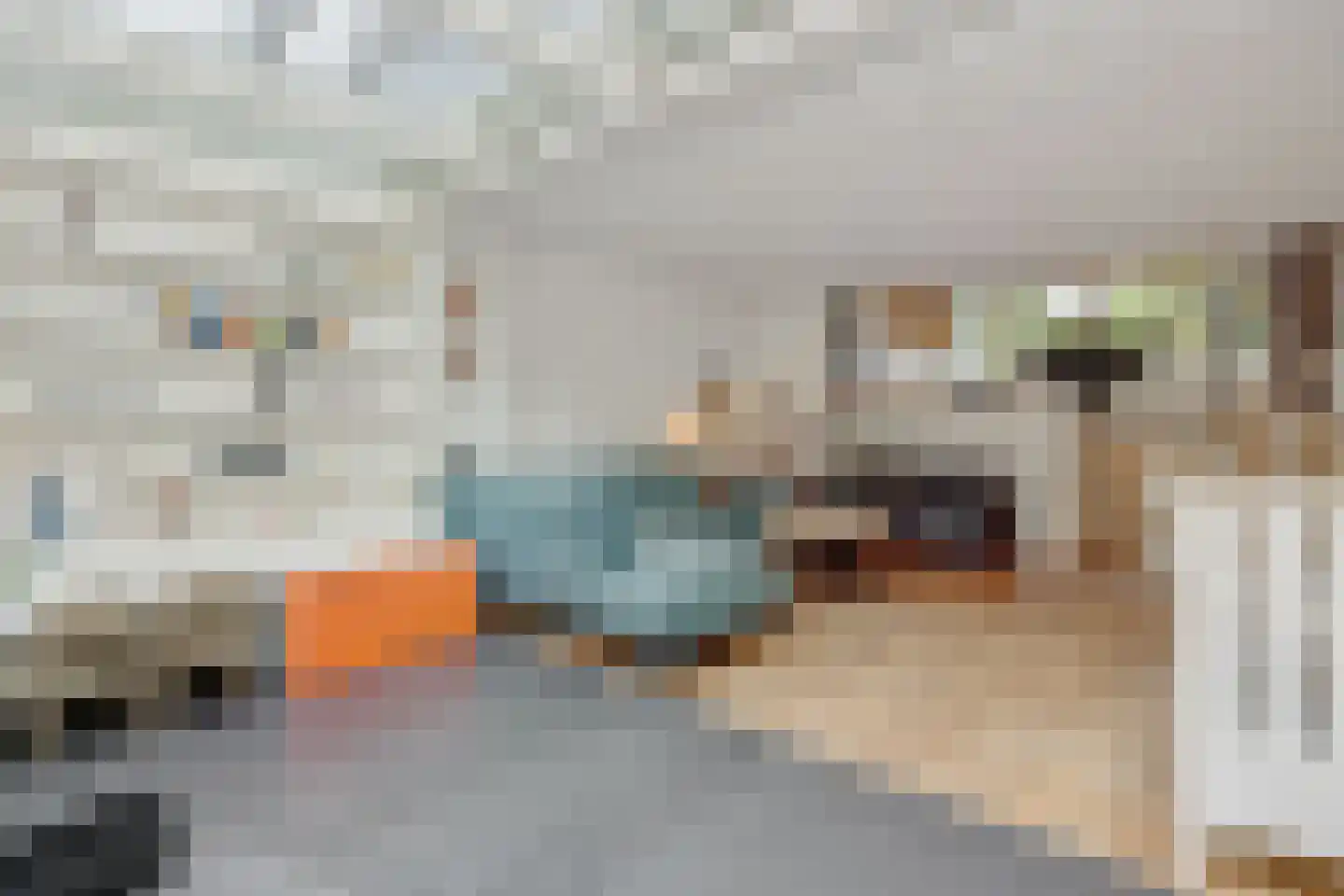 Schelvisstraat 35 Helmond thumbnail 18