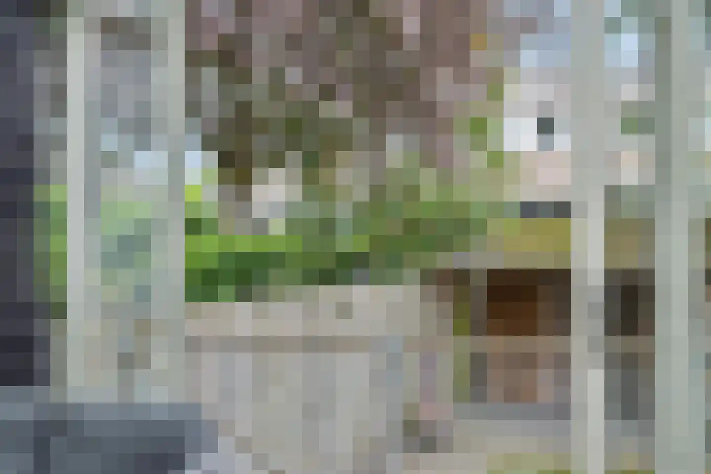 Schelvisstraat 35 Helmond thumbnail 22