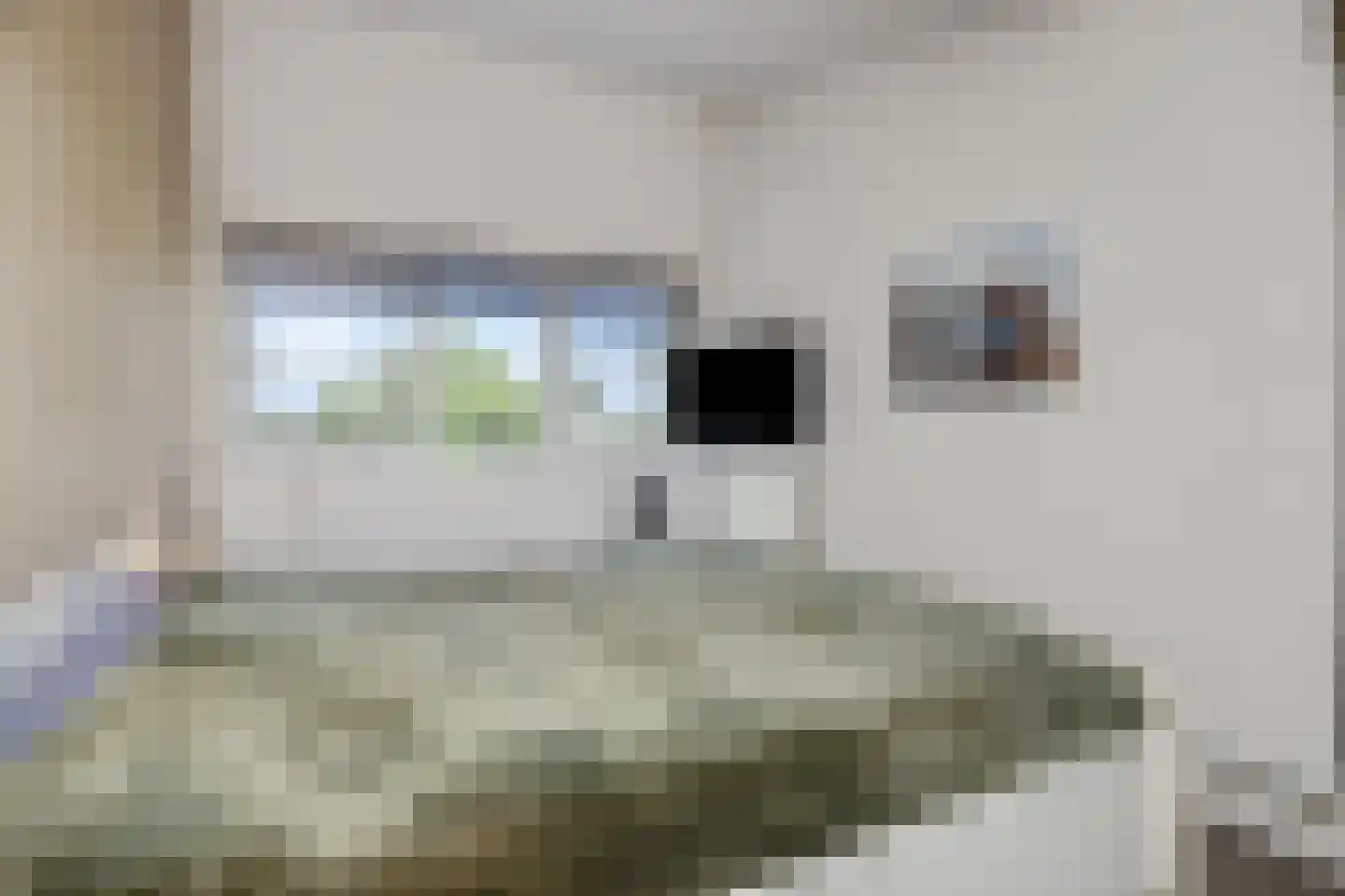 Schelvisstraat 35 Helmond thumbnail 34